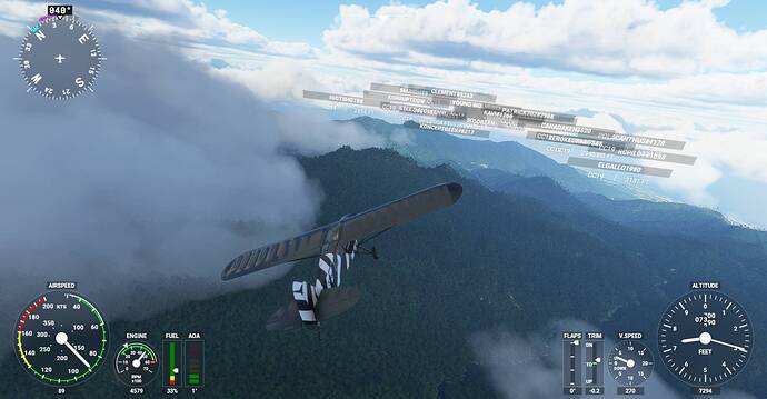 Microsoft Flight Simulator Screenshot 2020.12.31 - 21.21.20.15
