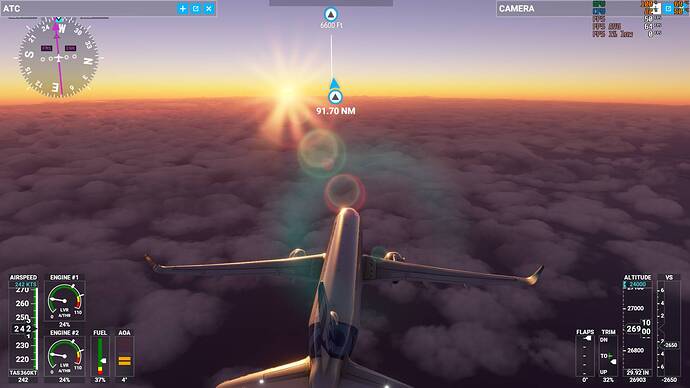 Microsoft Flight Simulator 1_10_2021 2_28_52 AM