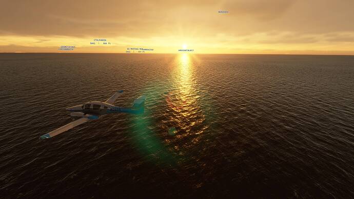 Microsoft Flight Simulator 7_12_2021 12_58_10 PM