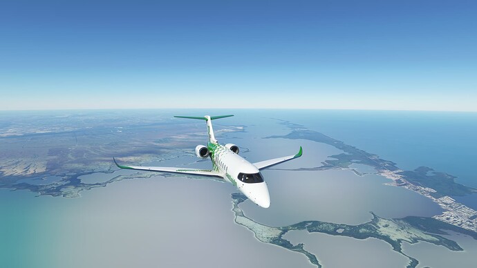 Microsoft Flight Simulator - 1.21.13.0 11_29_2021 7_51_38 PM