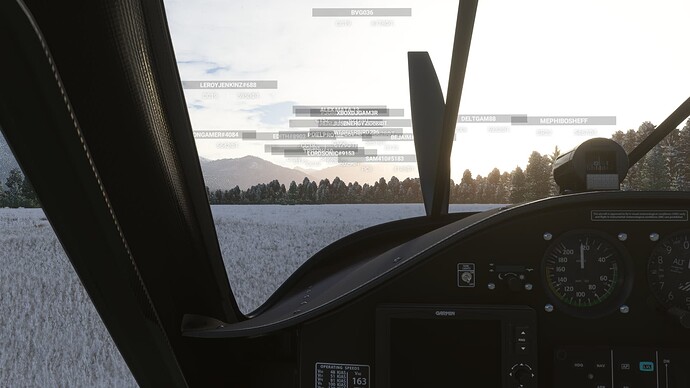 Microsoft Flight Simulator 08.01.2022 0_47_38