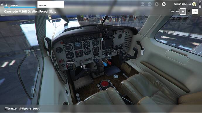 Microsoft Flight Simulator 15.08.2021 20_45_15