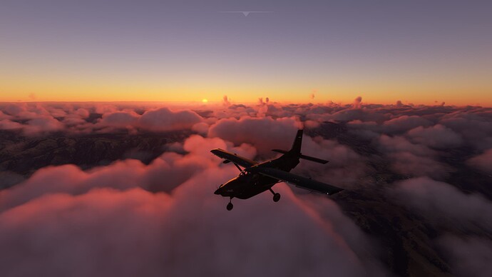 Microsoft Flight Simulator 29_08_2022 11_24_45 PM