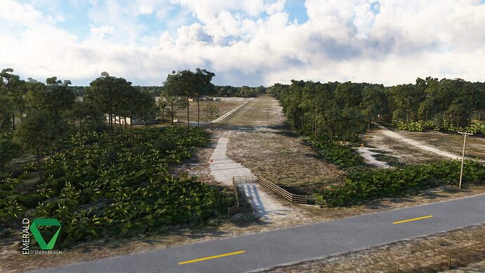 ESD_Bald_Eagle_Airfield_Myakka_Head_10