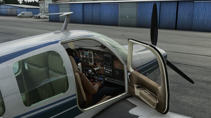 Microsoft Flight Simulator 19_08_2022 17_26_54