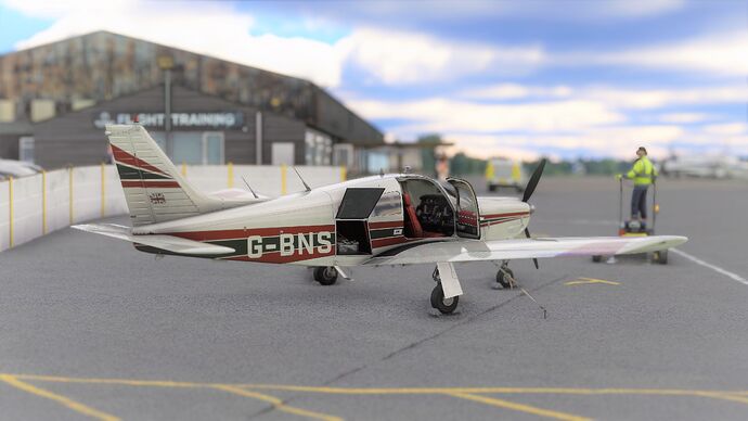 Microsoft Flight Simulator (445)