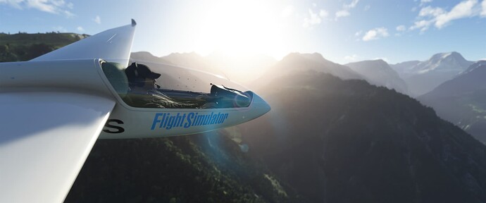 Microsoft Flight Simulator Screenshot 2022.12.04 - 14.28.46.12 (2)