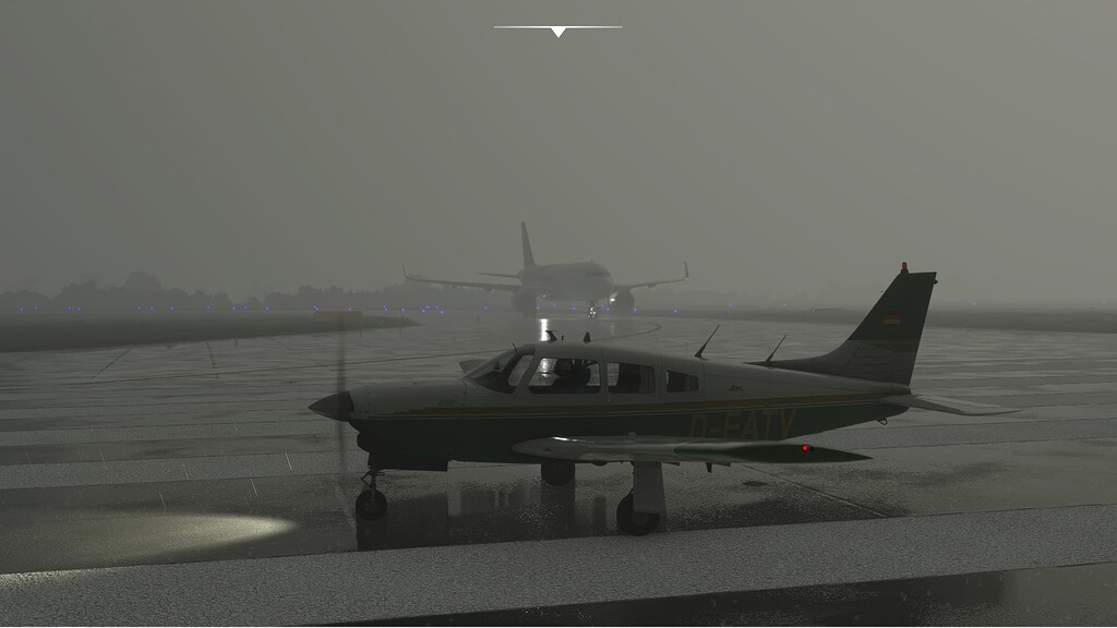 There is no bad weather for this little bird - Screenshots & World  Discovery - Microsoft Flight Simulator Forums