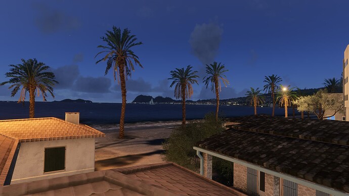 palmnuit1.PNG