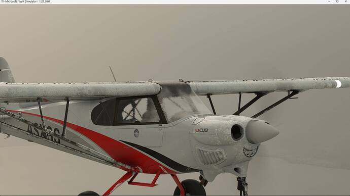 NX Cub 2