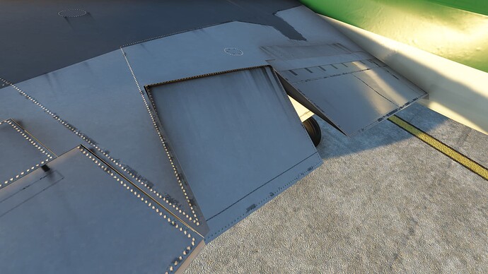 FlightSimulator_2024_06_04_09_29_44_001