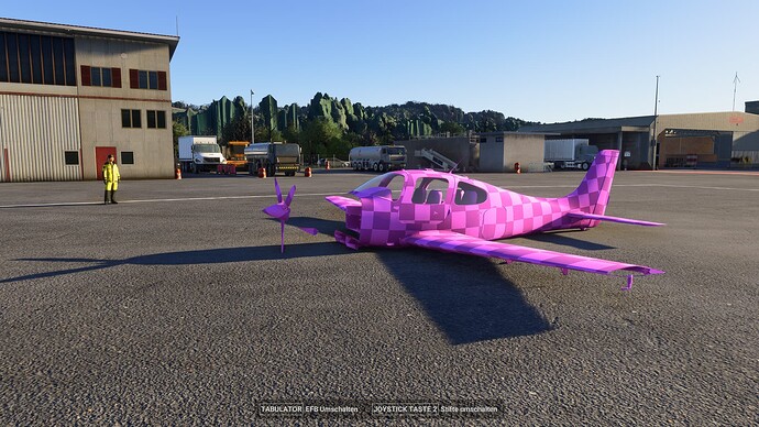 Microsoft Flight Simulator 2024 21.11.2024 22_40_29