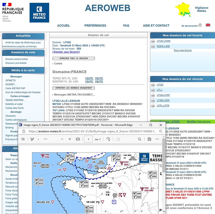 Aeroweb METAR TAF SIGMET.PNG