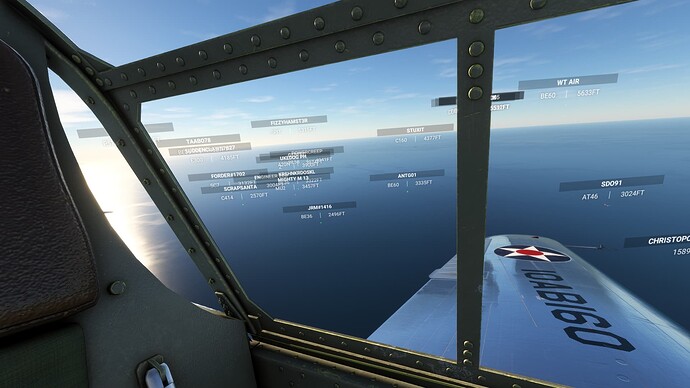 Microsoft Flight Simulator Screenshot 2024.05.31 - 20.55.26.20