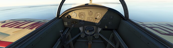 Microsoft Flight Simulator 5_1_2022 1_38_12 AM