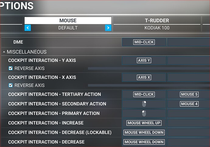 Mouse Settings Cockpit Interaction.PNG