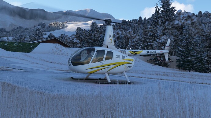 Microsoft Flight Simulator Screenshot 2024.01.01 - 17.18.13.15
