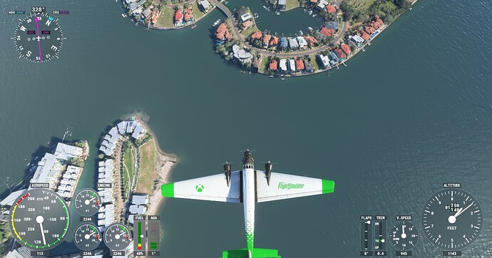 Microsoft Flight Simulator Screenshot 2022.02.04 - 21.42.52.41