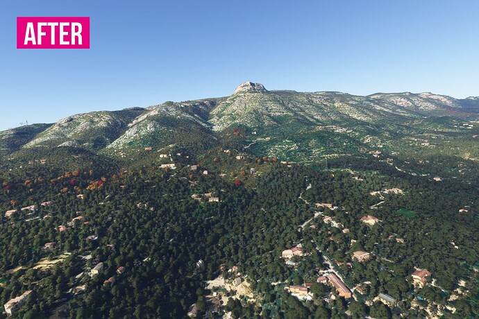 tree fix msfs france south14