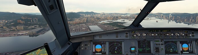 Microsoft Flight Simulator 8_9_2024 21_24_56