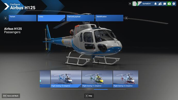 H125 Passenger Livery Flight Seeing 10 Adaptive"