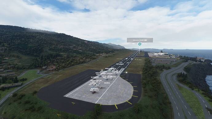 Microsoft Flight Simulator - 1.17.3.0 12.07.2021 20_48_52