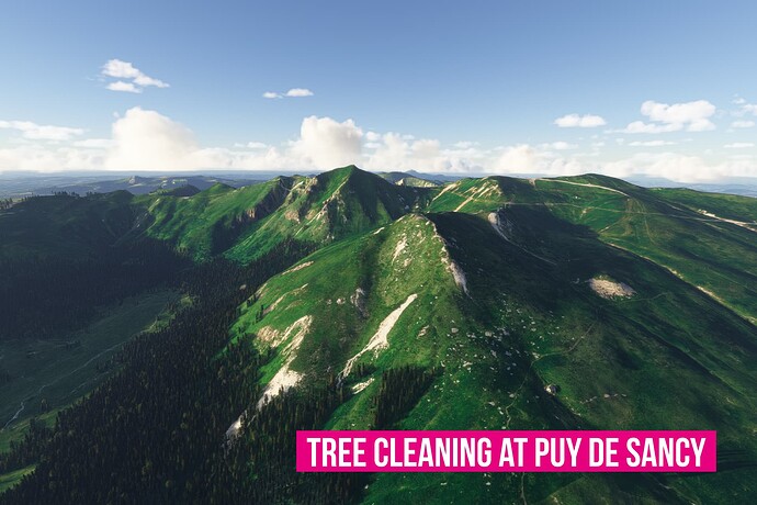 tree fix msfs france south19