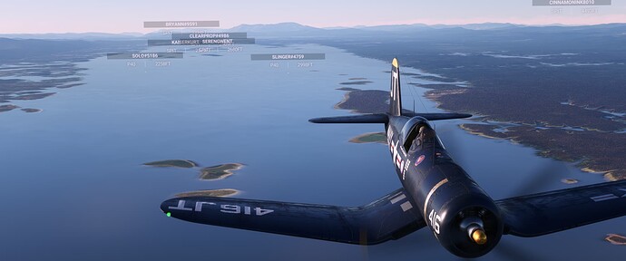 Microsoft Flight Simulator Screenshot 2022.01.12 - 02.16.30.10