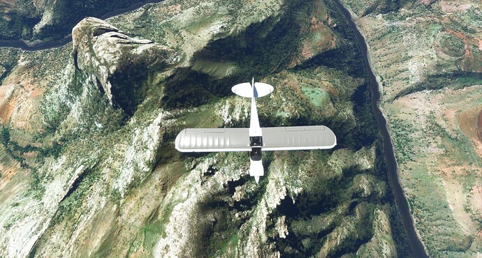 Microsoft Flight Simulator 3_10_2022 8_42_39 AM