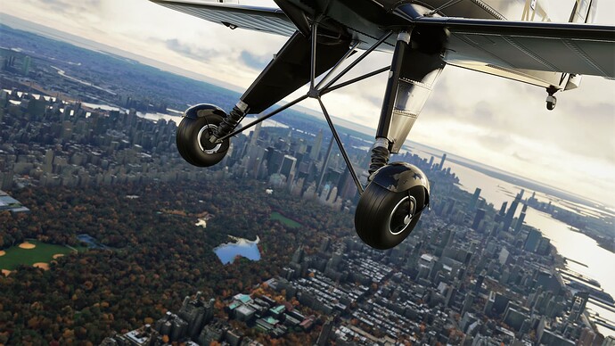Microsoft Flight Simulator Screenshot 2021.12.27 - 20.45.10.67