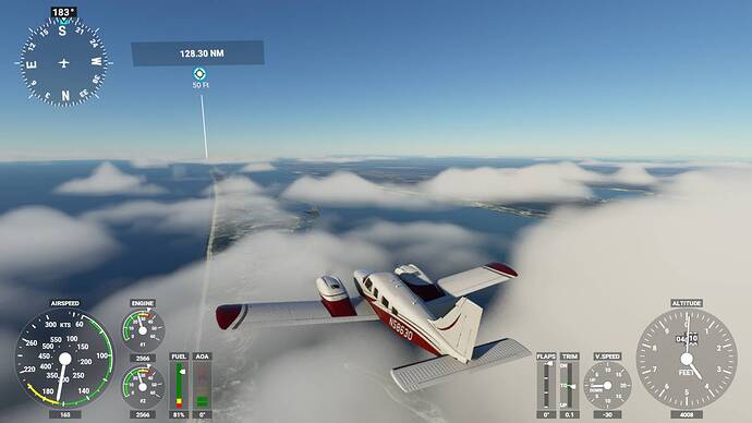 Microsoft Flight Simulator 5_25_2021 5_55_38 AM