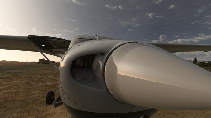 Microsoft Flight Simulator 19.01.2022 14_39_40