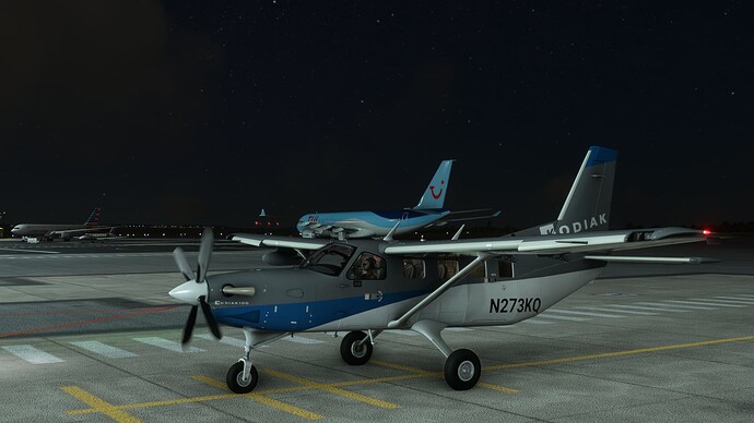 Microsoft Flight Simulator Screenshot 2021.12.19 - 01.30.20.09