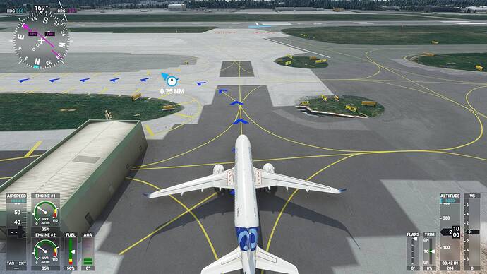 Microsoft Flight Simulator 02_04_2021 11_59_31