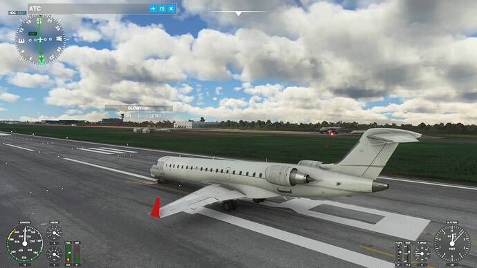Microsoft Flight Simulator 10_08_2021 22_05_27