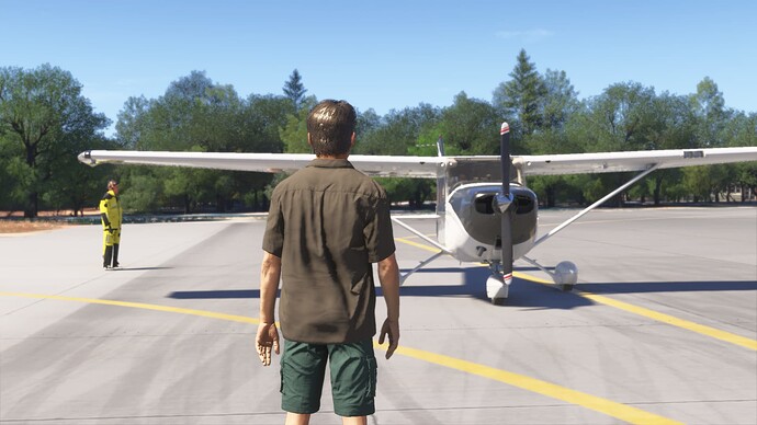 Microsoft Flight Simulator 2024-2024_11_21-18_42_43