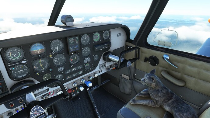 FlightSimulator_h27TvLL4Do