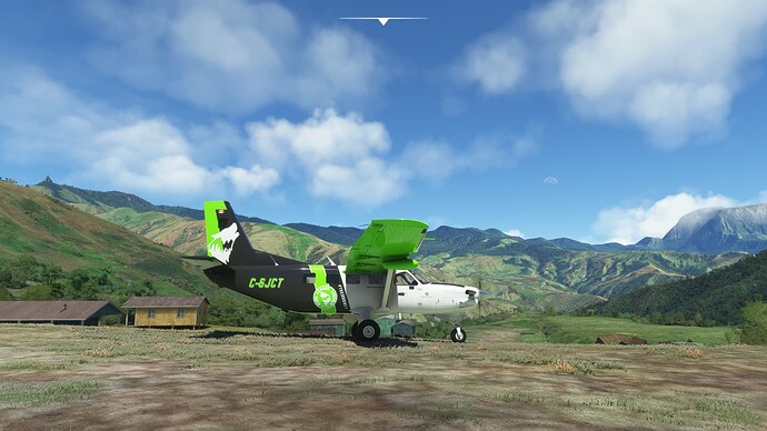 Microsoft Flight Simulator Screenshot 2022.10.16 - 20.37.45.13