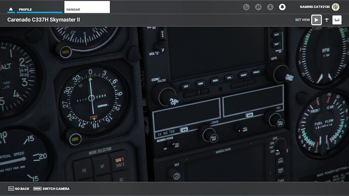 Microsoft Flight Simulator 24.01.2022 16_05_52