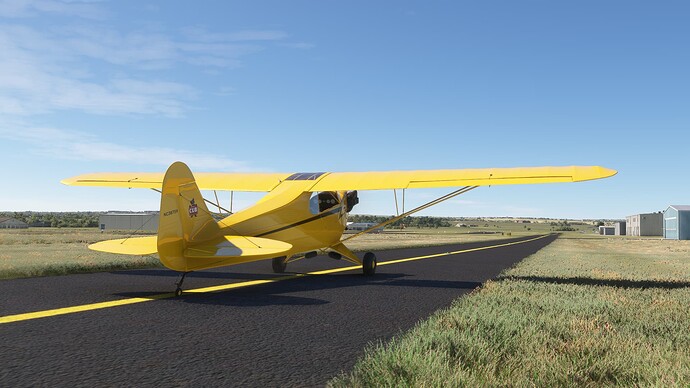Microsoft Flight Simulator 6_13_2024 4_00_12 PM