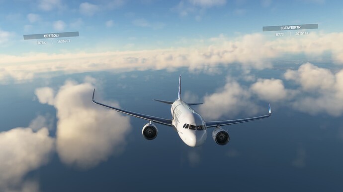 Microsoft Flight Simulator 1_01_2024 14_49_54