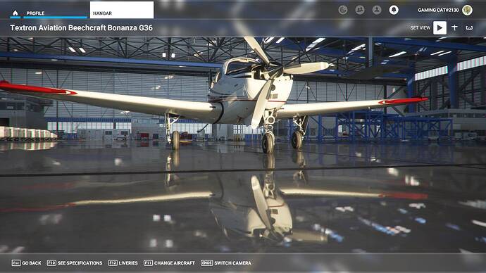Microsoft Flight Simulator 30.07.2021 20_41_53