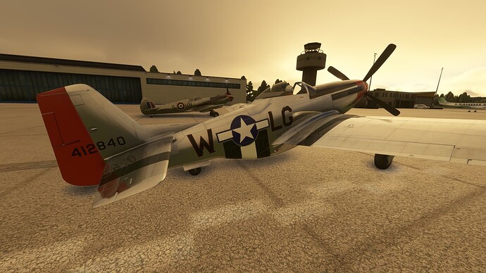 P-51 Mustang 3