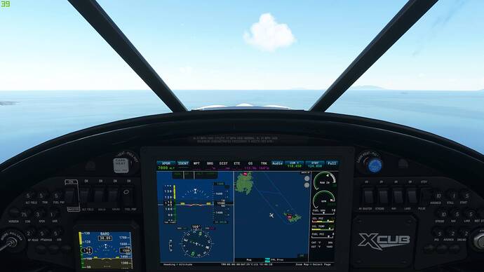 Microsoft Flight Simulator 8_1_2021 4_48_31 PM