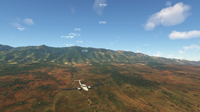 Microsoft Flight Simulator - 1.21.18.0 13.01.2022 21_28_29