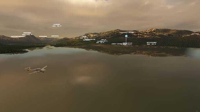 Microsoft Flight Simulator - 1.17.3.0 19.06.2021 23_47_51