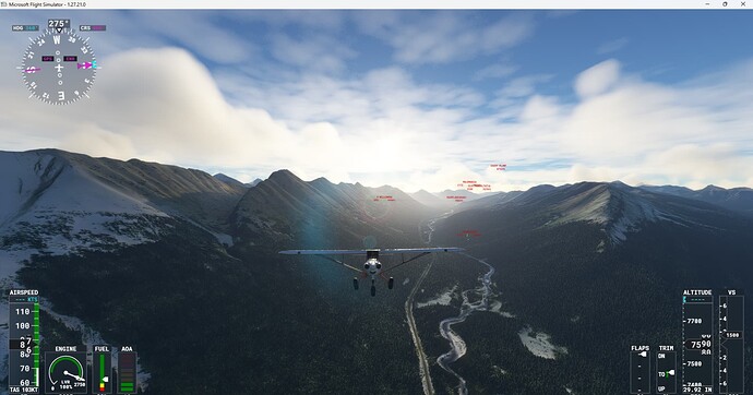 Microsoft Flight Simulator 10_7_2022 9_52_56 PM