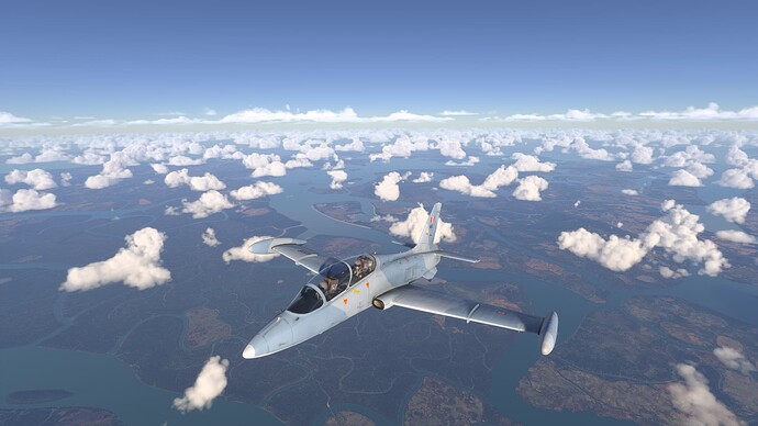 Microsoft Flight Simulator 2024-2025_05_08-15-39-20