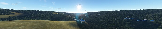 Microsoft Flight Simulator 1_13_2022 3_41_07 PM