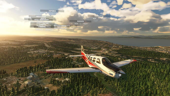 Microsoft Flight Simulator Screenshot 2021.09.03 - 23.21.21.34